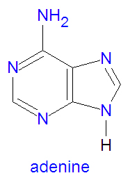 Adenine.jpg