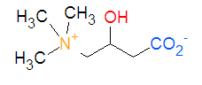 Carnitine structure.jpg