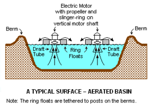 Surface-Aerated Basin.png