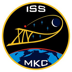 Iss14 mission insignia.jpg