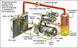 Rotary Screw Compressor.gif